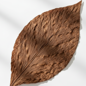 Tabakblätter kaufen