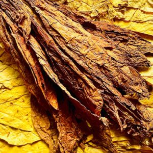 Ganzes Burley Tabakblatt