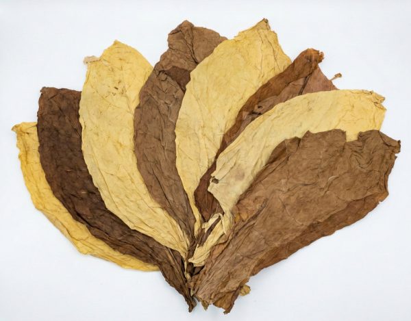 50/50 virginia & burley rohtabak