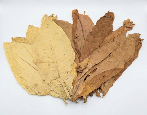 60/40 virginia & burley rohtabak